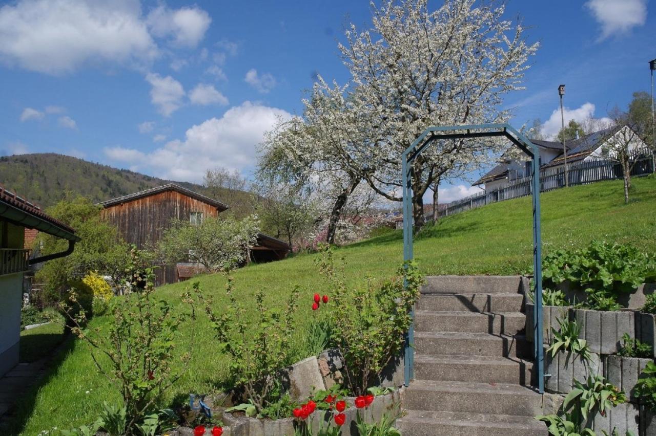 Ferienhaus Bayerwald Ringelai المظهر الخارجي الصورة