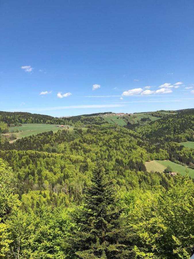 Ferienhaus Bayerwald Ringelai المظهر الخارجي الصورة