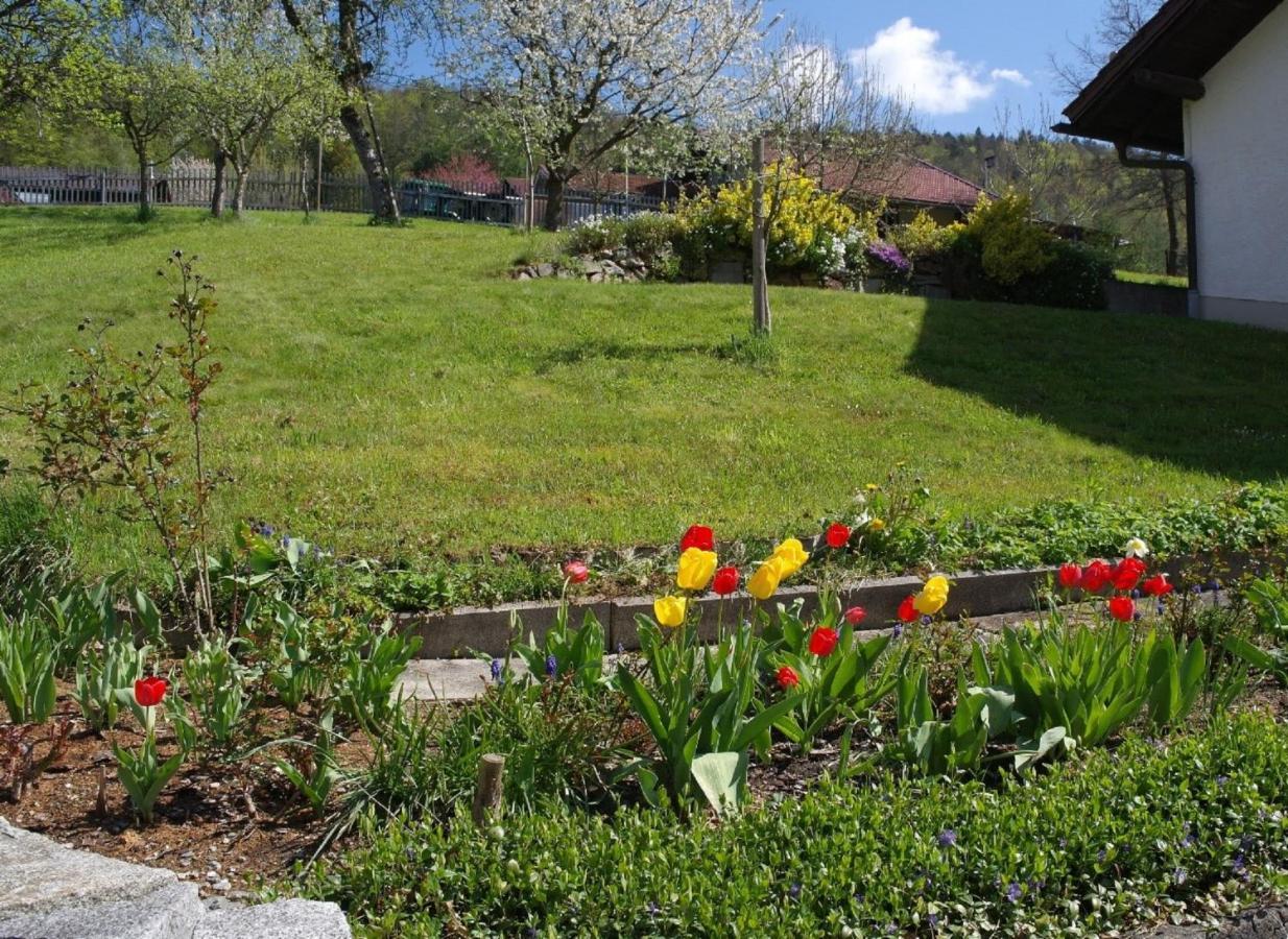 Ferienhaus Bayerwald Ringelai المظهر الخارجي الصورة